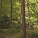 다모우리 이미지