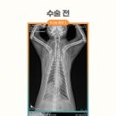 원곡동물병원 네이버블로그