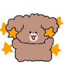 킨더독 이미지