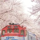 경화벚꽃한의원 이미지