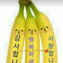 정훈노인전문요양원