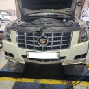 애니카랜드 청학점 이미지