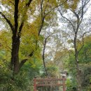 남산공원길 | 서울 중구 여행 남산 공원길 와룡묘 제갈공명 사당 단풍길