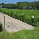 서천군농업기술센터 이미지