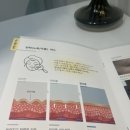 지올뷰티 네이버블로그