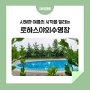 대덕대로1527번길 이미지