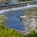 신세계아파트 이미지