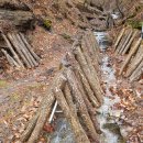 해동농장 이미지