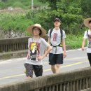 동음1리 Daum카페