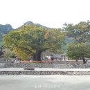 도량