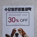 2동탄 세탁소 이미지