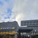 더본 | 조식이 맛있는 호텔 더본 제주 디럭스 트리플 후기+체크인 입실시간 , 수영장