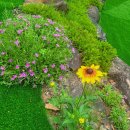 곡성 기차마을 애견동반펜션 이미지