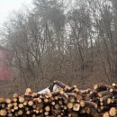 월송길 | [강원도 춘천/겨울여행] 12월 월송리캠프&amp;글램핑카라반 1007호 후기(내돈내산)