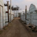 행복나무인테리어 이미지