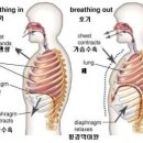 코어요가필라테스