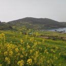 완도 청산도 석조보살좌상 | 완도·청산도여행(5) (청산도 일주여행 : 서편제촬영지, 범바위, 장기미해변, 양지리 구들장논, 상서...