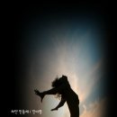 하얀민들레
