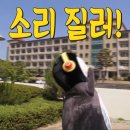 코인싱어 노래연습장 이미지