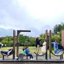 제주기사 이미지