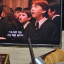 하동단체가족펜션 율이네 팜스테이 이미지