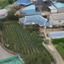 김제시 부량면사무소 이미지