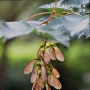 남광환경 | 거동 힘드신 부모님 위한 추천 금정구 요양원 남광노인전문요양시설 하회원 부모님을 위한 최적의 선택