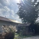 화진담 | 천안 광덕면 포토스팟 가득한 감성카페 추천 &#34;화진담&#34;