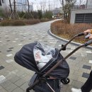 자연SCIENCE | 내돈내산 [실버크로스 절충형 유모차 듄2] 대전 신세계백화점 Art&amp;Science 블루독베이비