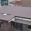 봉동칼라 이미지