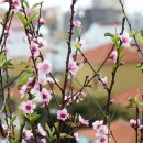 농산물종합가공지원센터 이미지