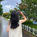 NR-6[경강로]-하-123 | [주간일기 챌린지] 8월 2주차 2박 3일 행복했던 강릉여행 !!! 강릉맛집 도장깨기 완.