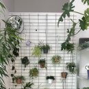 목중`대성로 이미지