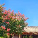 현내리 도원정사 이미지