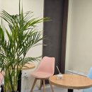 더본필라테스 | 더본필라테스 신사점, 응암역 필라테스, 그룹 레슨 후기