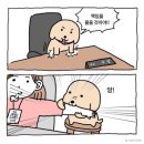 더조은 소프트 | 6월로그)공부안해핑 미룸핑