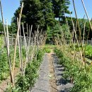 비례농장 이미지