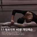 (상반기)발레핏 이미지