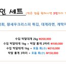 박달하지 이미지