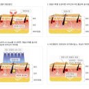 더예쁨스킨케어 - 광주시 광주대로71번길 20-29 | 더예쁨스킨케어