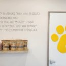 옐레드 송파헬리오시티점 이미지