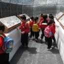 옥전초등학교 병설유치원 이미지