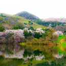 아라메길(2) 이미지