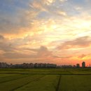 곡교천로 이미지