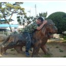 용궁초등학교 이미지