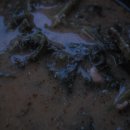 만찬농장 이미지