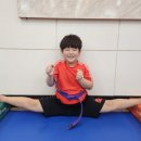 미산태권도 이미지