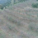 대구지방법원 영덕지원 이미지