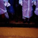 여행하는 나무 이미지