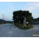 영풍 병산리 갈참나무 | [천연기념물 제285호] 영풍 병산리 갈참나무 (榮豊 屛山里 갈참나무)